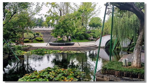 園林小景 方寸之間的自然詩畫